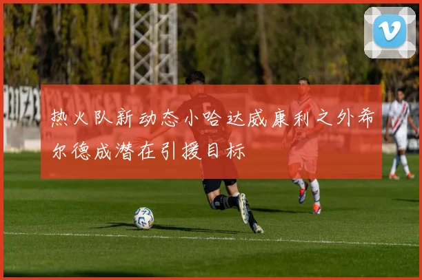 热火队新动态小哈达威康利之外希尔德成潜在引援目标