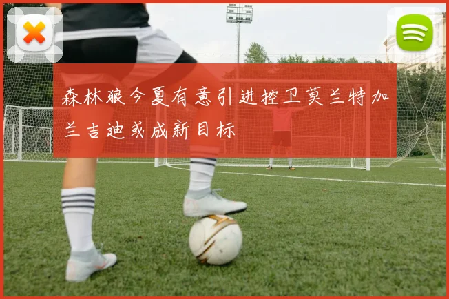 森林狼今夏有意引进控卫莫兰特加兰吉迪或成新目标